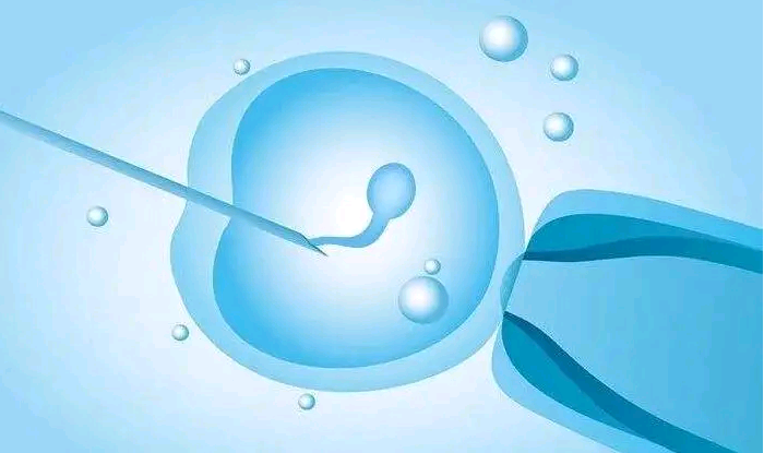 2023武汉市试管代怀生子机构排名，附试管助孕机构名单！_放生之于治病