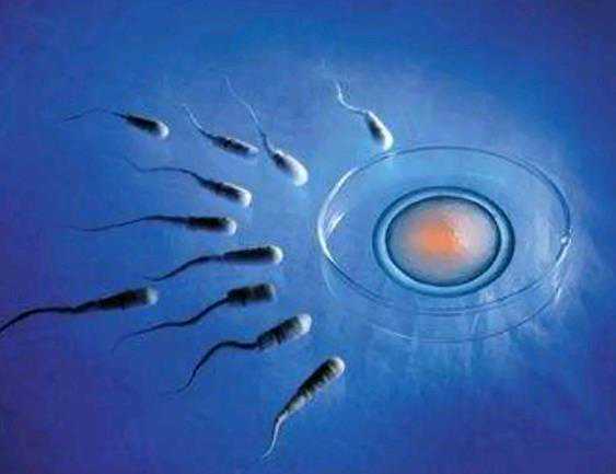温州全国助孕群 温州中山医院生殖医学中心 ‘孕囊大小看男女孩’
