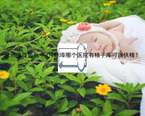 常州借腹怀胎中心|蚌埠哪个医院有精子库可以供精？